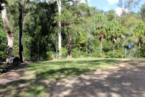 Simpson Falls In Mt Coot-tha
