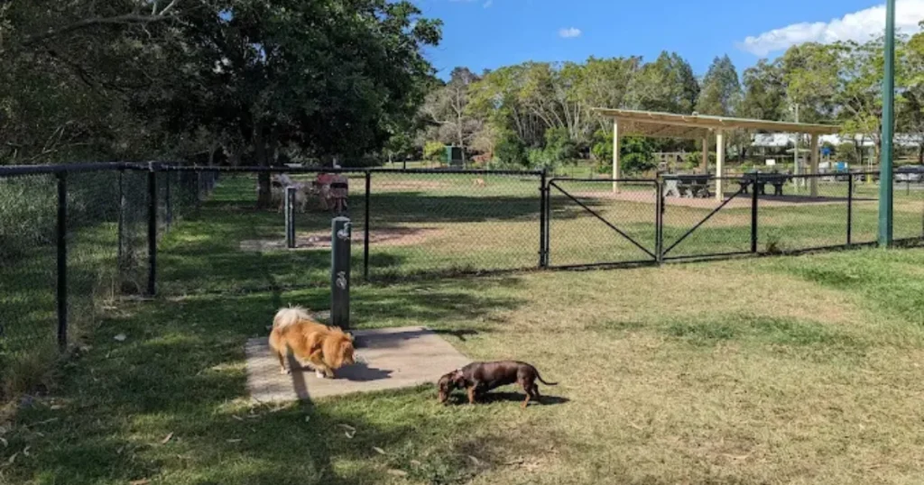 Perrin Park Small Dog area