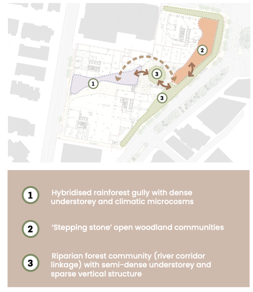 Toowong Central biodiversity management plan